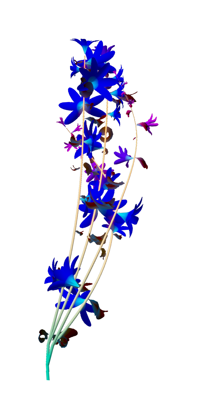 Left flower