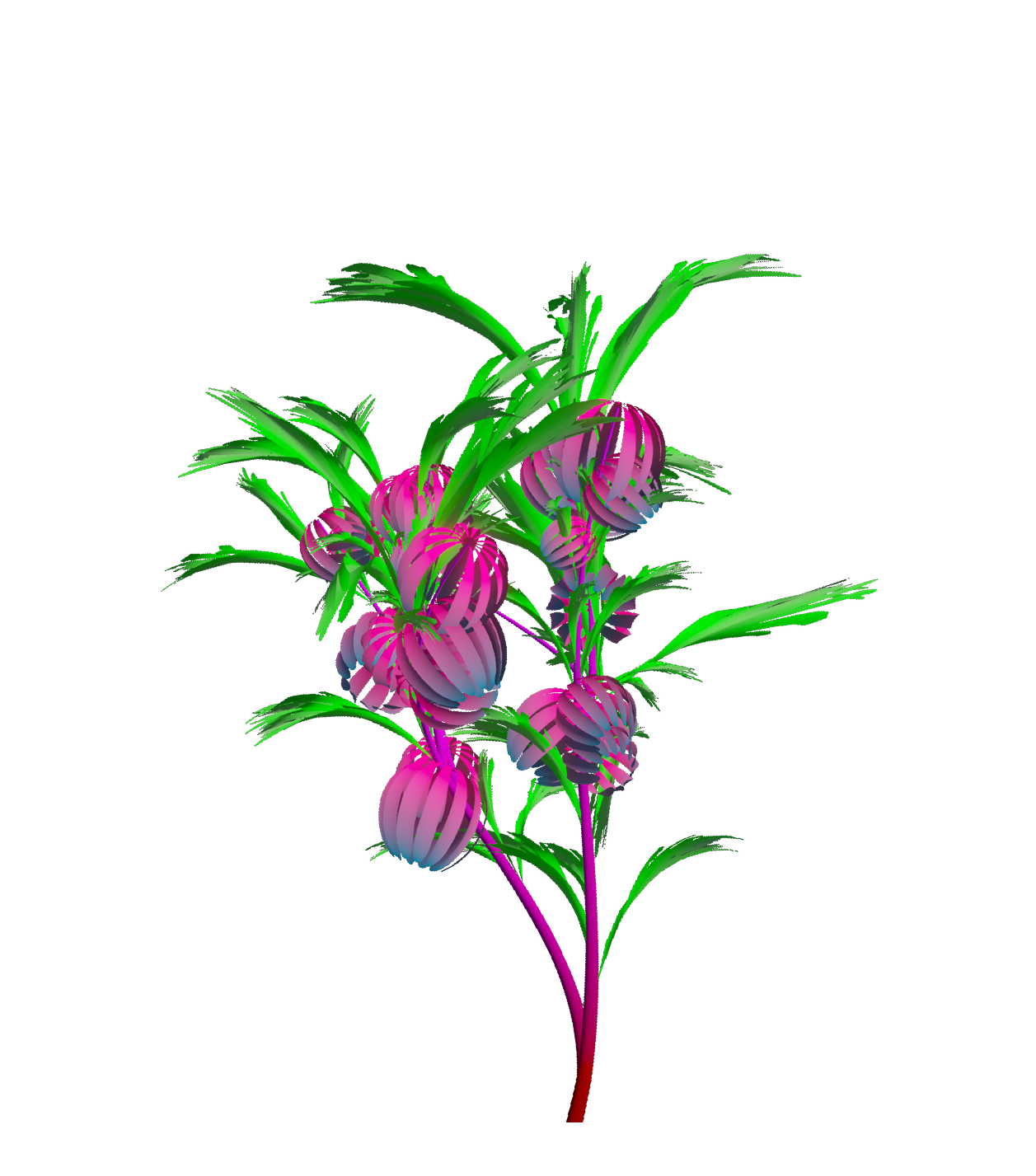 Left flower