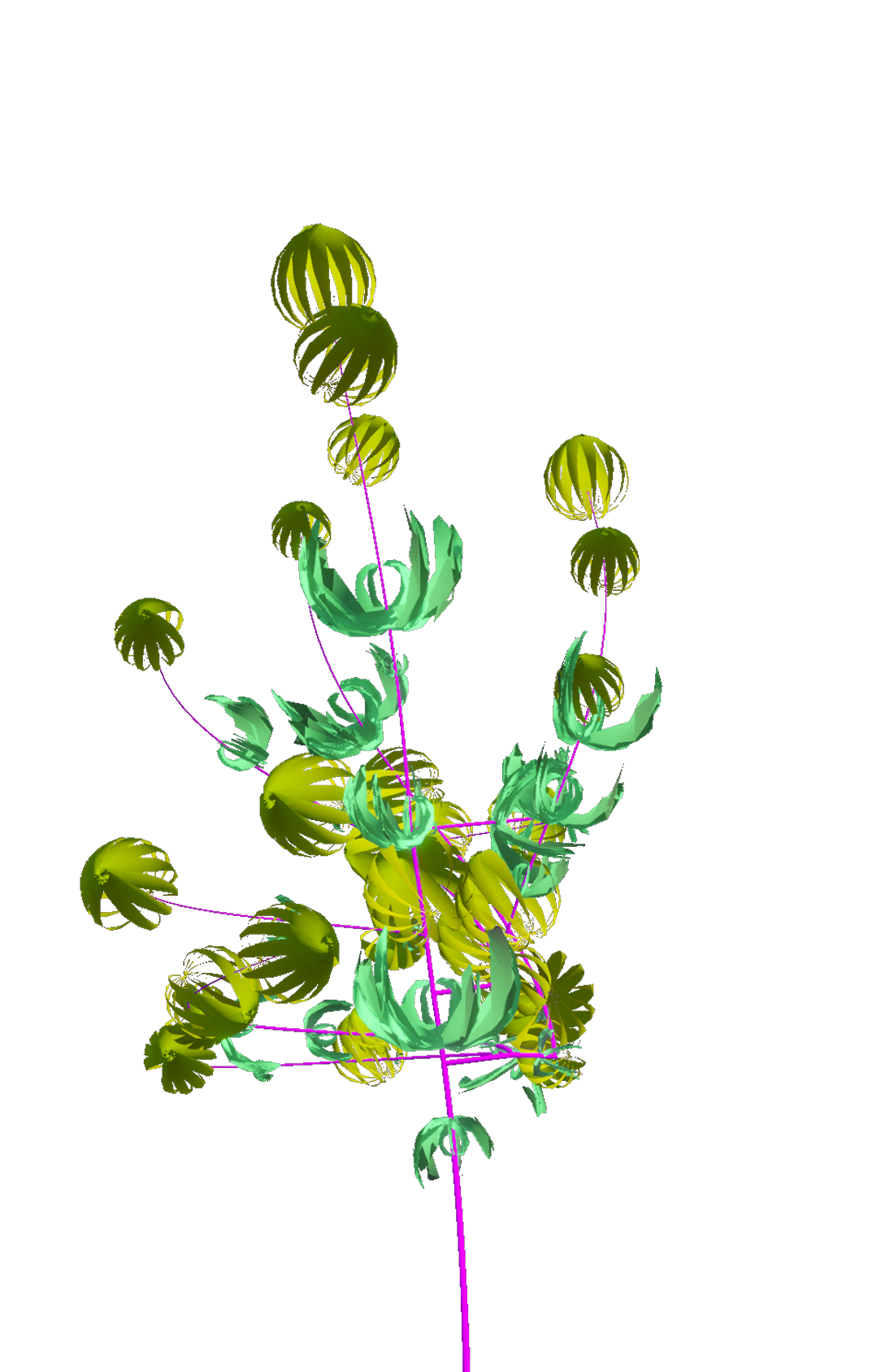 Right flower