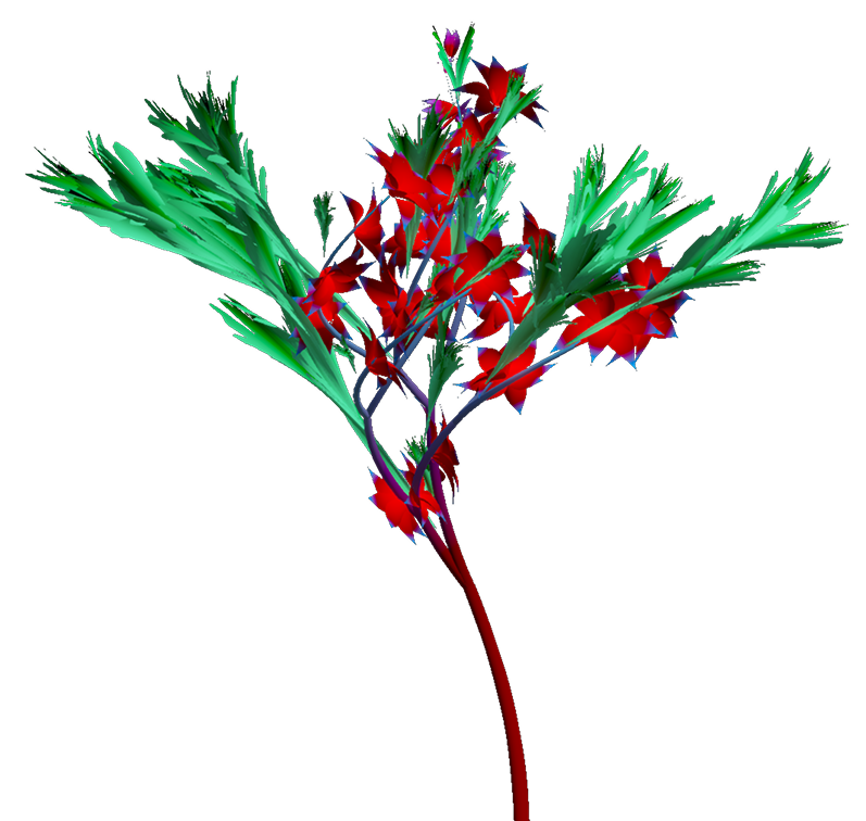 Left flower