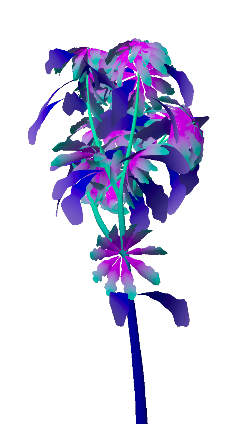 Right flower